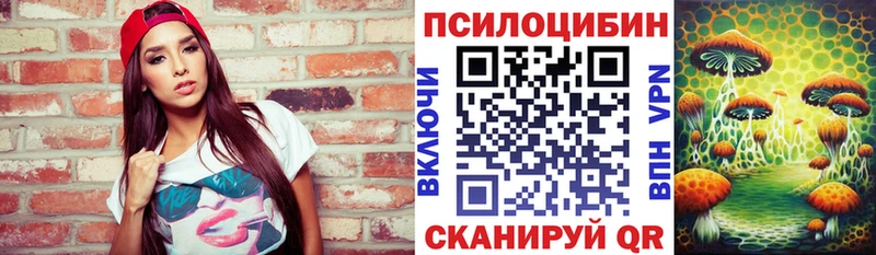 Купить  Липецк  Галлюциногенные грибы Psilocybine cubensis 